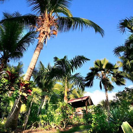 Hotel - Residence Habitation Grande Anse Deshaies Exterior photo