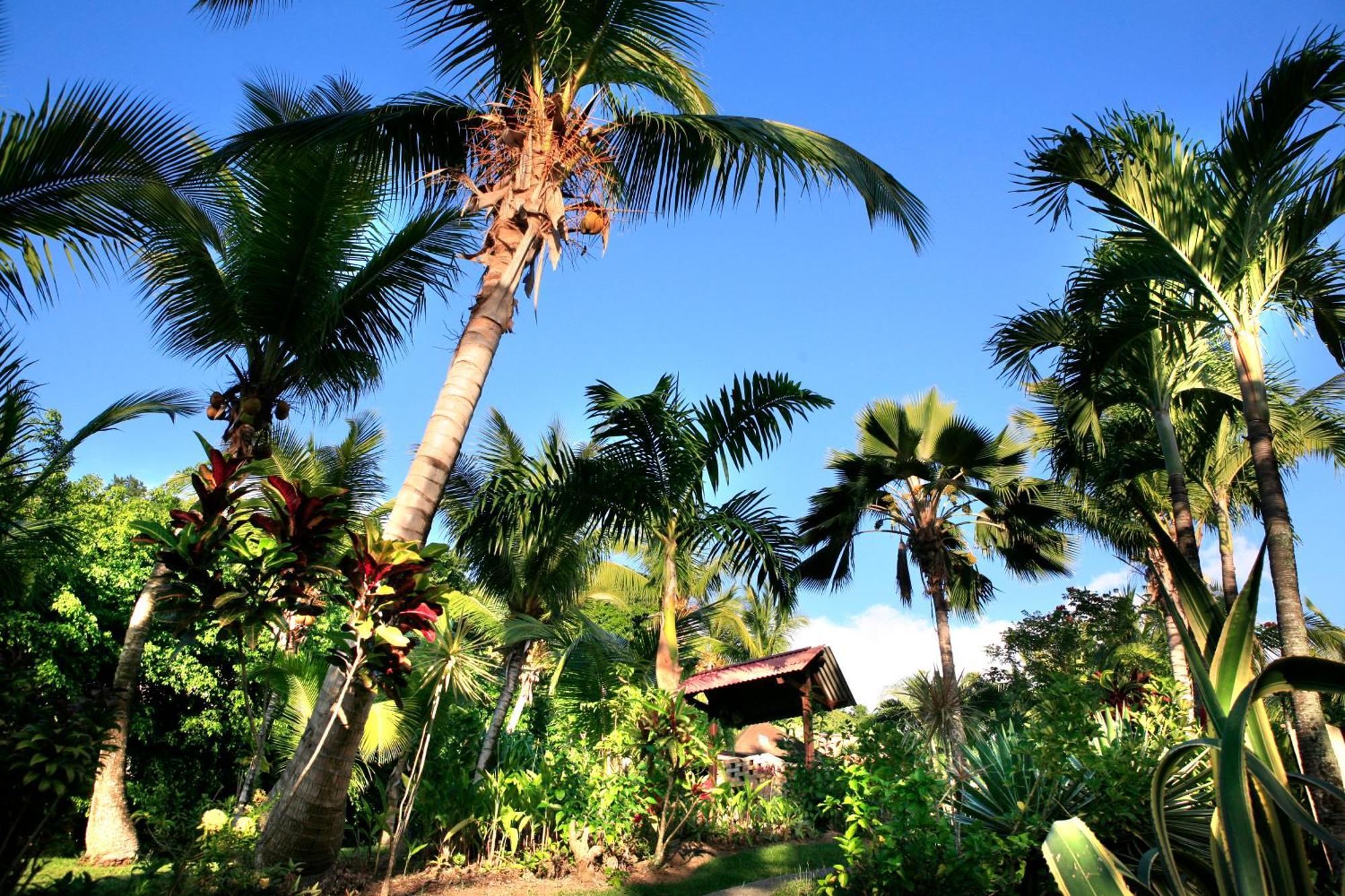 Hotel - Residence Habitation Grande Anse Deshaies Exterior photo