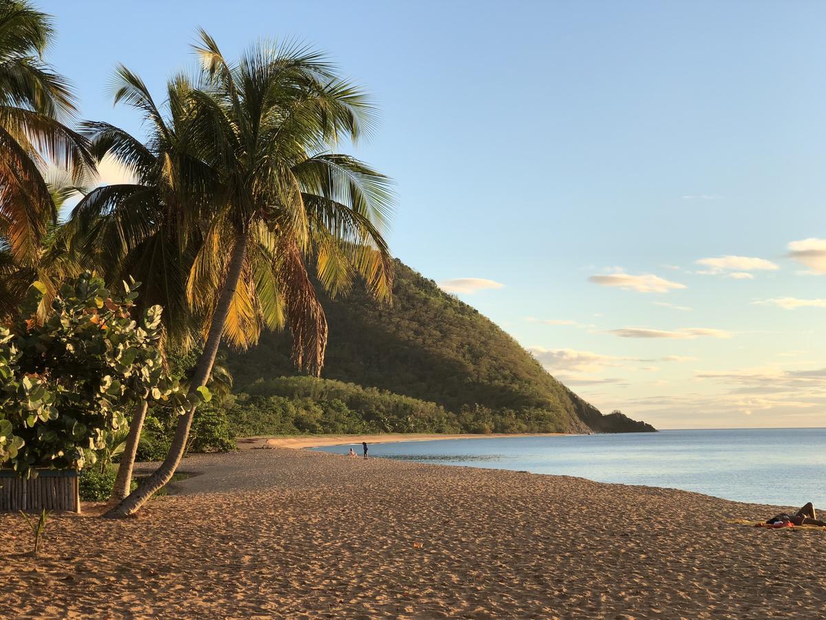 Hotel - Residence Habitation Grande Anse Deshaies Exterior photo